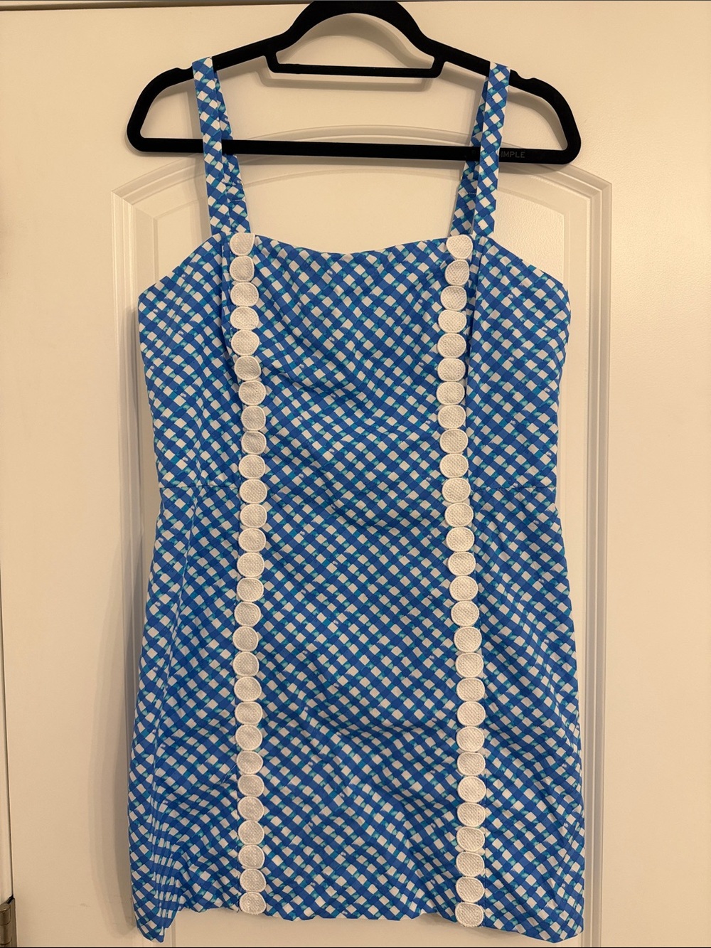 Blue Gingham Dress with White Trim